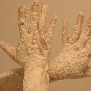 My Hands 2008 Stoyan Kutsev